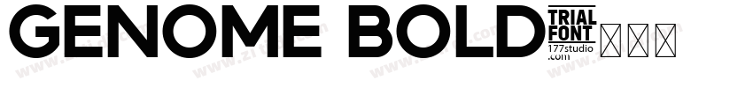 Genome Bold字体转换